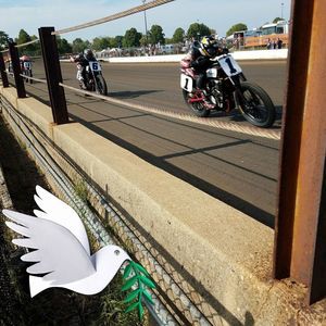 Meet your Posher, Dale